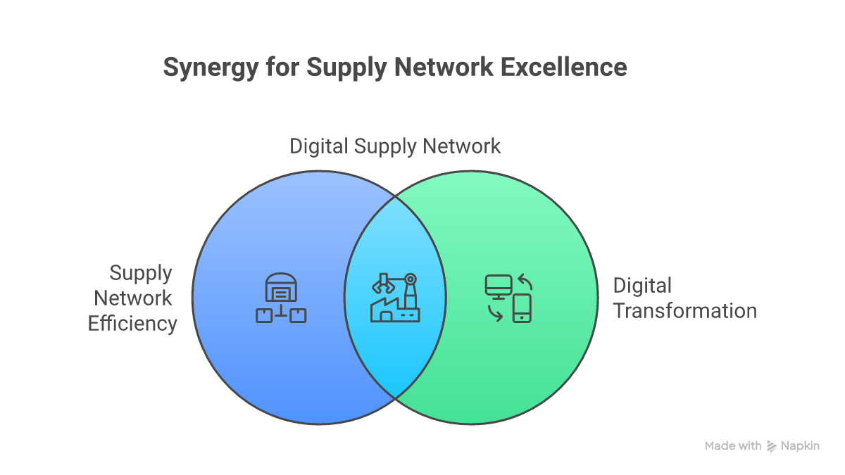 Supply Network Efficiency and Digital Transformation - supply chain optimization visualization