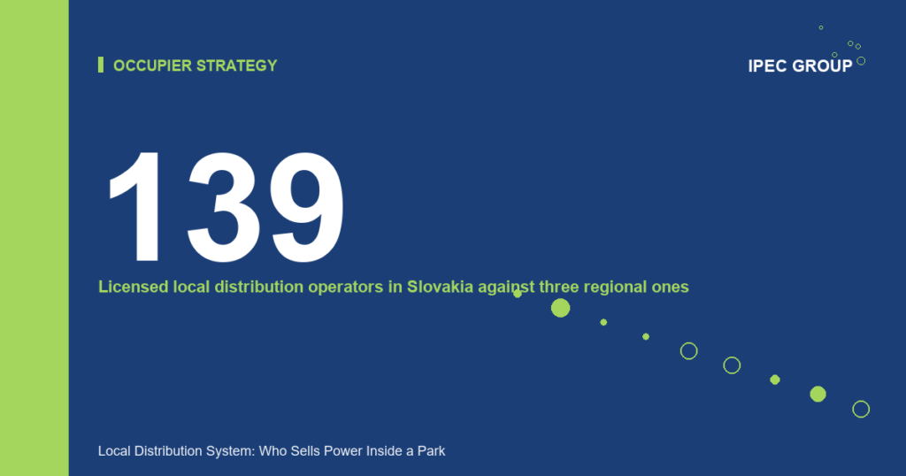 Local Distribution System: Who Sells Power Inside a Park